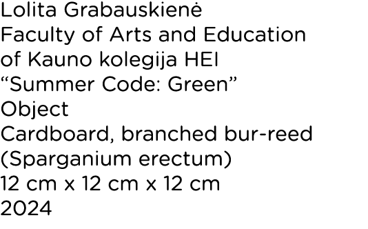 Lolita Grabauskien Faculty of Arts and Education of Kauno kolegija HEI “Summer Code: Green” Object Cardboard, branch...