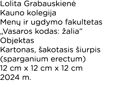 Lolita Grabauskien Kauno kolegija Men  ir ugdymo fakultetas „Vasaros kodas:  alia“ Objektas Kartonas,  akotasis  iur...