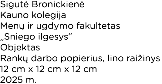 Sigut Bronickien  Kauno kolegija Men  ir ugdymo fakultetas „Sniego ilgesys“ Objektas Rank  darbo popierius, lino rai...