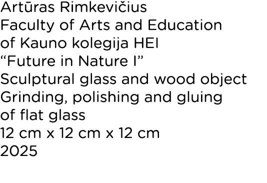 Art ras Rimkevi ius Faculty of Arts and Education of Kauno kolegija HEI “Future in Nature I” Sculptural glass and woo...