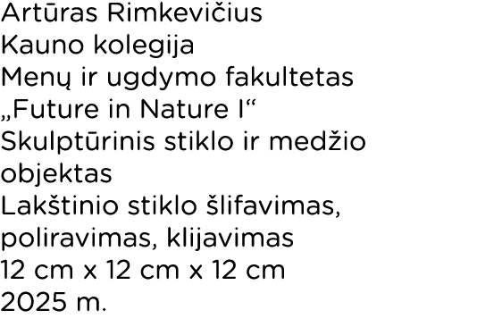 Art ras Rimkevi ius Kauno kolegija Men ir ugdymo fakultetas „Future in Nature I“ Skulpt rinis stiklo ir med io objek...