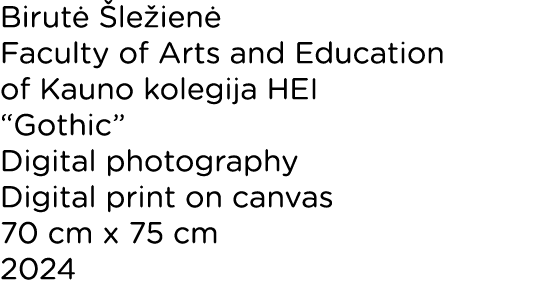 Birut  le ien  Faculty of Arts and Education of Kauno kolegija HEI “Gothic” Digital photography Digital print on can...