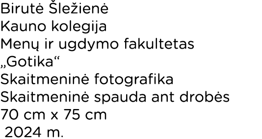 Birut  le ien  Kauno kolegija Men  ir ugdymo fakultetas „Gotika“ Skaitmenin  fotografika Skaitmenin  spauda ant drob...