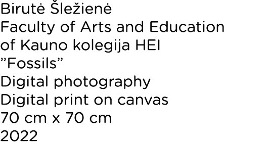 Birut  le ien  Faculty of Arts and Education of Kauno kolegija HEI ”Fossils” Digital photography Digital print on ca...