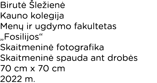 Birut  le ien  Kauno kolegija Men  ir ugdymo fakultetas „Fosilijos“ Skaitmenin  fotografika Skaitmenin  spauda ant d...