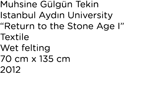 Muhsine G lg n Tekin Istanbul Ayd n University “Return to the Stone Age I” Textile Wet felting 70 cm x 135 cm 2012