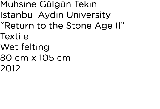 Muhsine G lg n Tekin Istanbul Ayd n University “Return to the Stone Age II” Textile Wet felting 80 cm x 105 cm 2012 