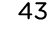 43
