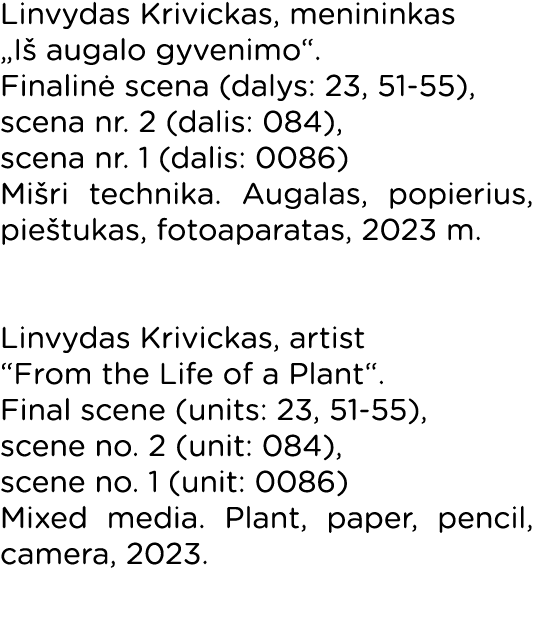 Linvydas Krivickas, menininkas  Iš augalo gyvenimo   Finalinė scena (dalys: 23, 51-55), scena nr  2 (dalis: 084), sce   