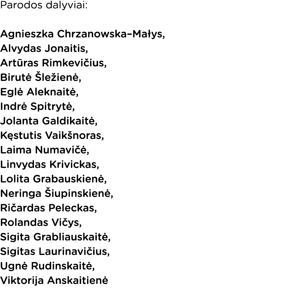 Parodos dalyviai: Agnieszka Chrzanowska Małys, Alvydas Jonaitis, Artūras Rimkevičius, Birutė Šležienė, Eglė Aleknaitė   