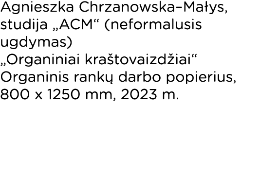 Agnieszka Chrzanowska Małys, studija  ACM  (neformalusis ugdymas)  Organiniai kraštovaizdžiai  Organinis rankų darbo    