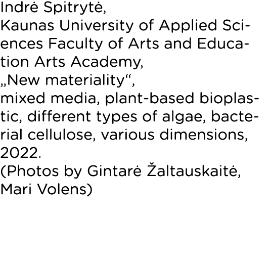 Indrė Spitrytė, Kaunas University of Applied Sciences Faculty of Arts and Education Arts Academy,  New materiality ,    