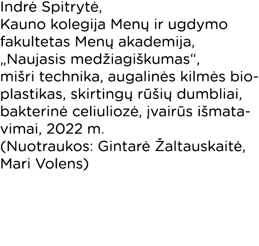 Indrė Spitrytė, Kauno kolegija Menų ir ugdymo fakultetas Menų akademija,  Naujasis medžiagiškumas , mišri technika, a   
