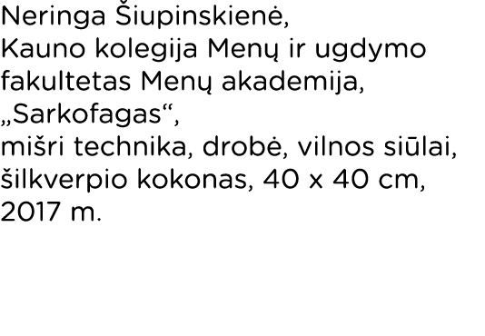 Neringa Šiupinskienė, Kauno kolegija Menų ir ugdymo fakultetas Menų akademija,  Sarkofagas , mišri technika, drobė, v   