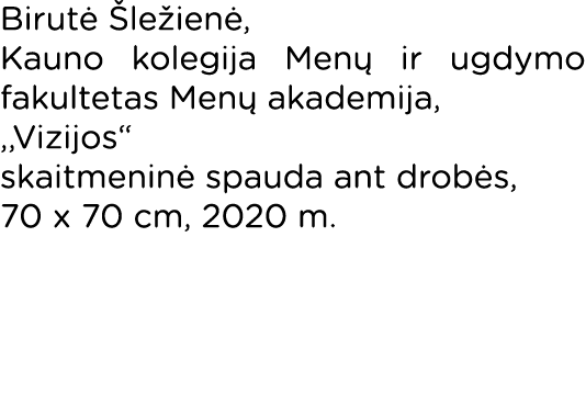 Birutė Šležienė, Kauno kolegija Menų ir ugdymo fakultetas Menų akademija, ,,Vizijos  skaitmeninė spauda ant drobės, 7   