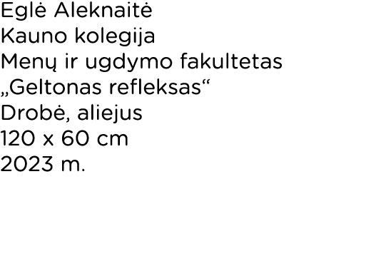 Eglė Aleknaitė Kauno kolegija Menų ir ugdymo fakultetas  Geltonas refleksas  Drobė, aliejus 120 x 60 cm 2023 m  