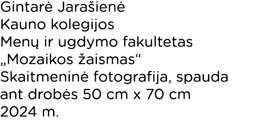 Gintarė Jarašienė Kauno kolegijos Menų ir ugdymo fakultetas  Mozaikos žaismas  Skaitmeninė fotografija, spauda ant dr   