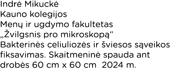 Indrė Mikuckė Kauno kolegijos Menų ir ugdymo fakultetas  Žvilgsnis pro mikroskopą  Bakterinės celiuliozės ir šviesos    