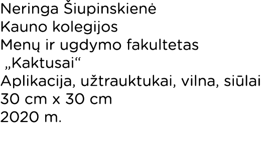 Neringa Šiupinskienė Kauno kolegijos Menų ir ugdymo fakultetas  Kaktusai  Aplikacija, užtrauktukai, vilna, siūlai 30    