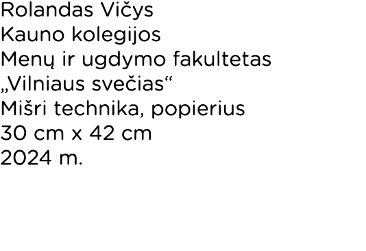 Rolandas Vičys Kauno kolegijos Menų ir ugdymo fakultetas  Vilniaus svečias  Mišri technika, popierius 30 cm x 42 cm 2   