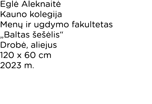 Eglė Aleknaitė Kauno kolegija Menų ir ugdymo fakultetas  Baltas šešėlis  Drobė, aliejus 120 x 60 cm 2023 m 