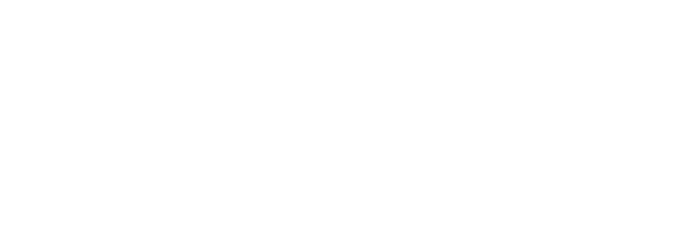Mokslinis komitetas: Dr  Inga Valentinienė, pirmininkė Dr  Sigita Saulėnienė Dr  Rima Jasnauskaitė Dr  Ligita Judicka   