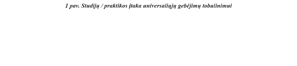 1 pav  Studijų   praktikos įtaka universaliųjų gebėjimų tobulinimui