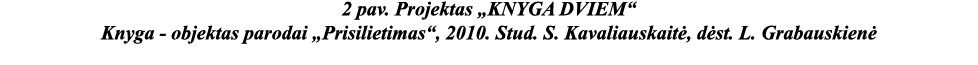 2 pav  Projektas  KNYGA DVIEM  Knyga - objektas parodai  Prisilietimas , 2010  Stud  S  Kavaliauskaitė, dėst  L  Grab   
